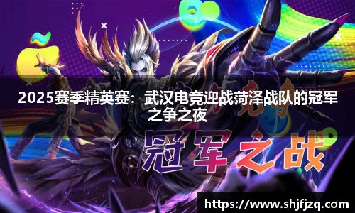2025赛季精英赛：武汉电竞迎战菏泽战队的冠军之争之夜